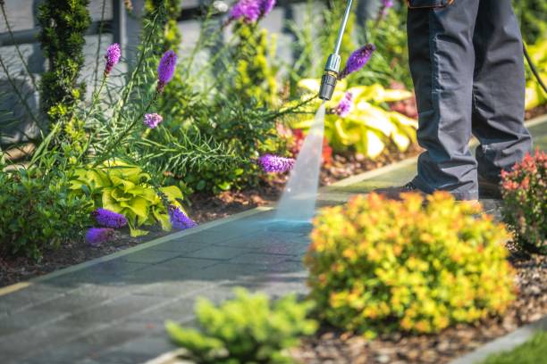 Reliable Millport, AL Pressure Washing Services Solutions